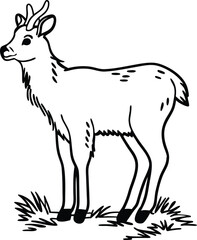 vector silhouette of a deer