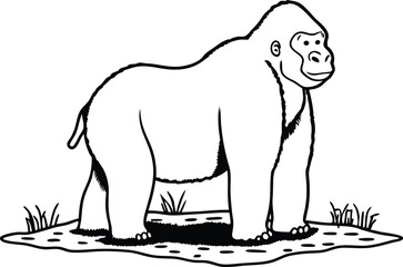 vector illustration of an gorila