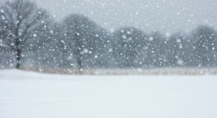Ethereal Winter Scene with Falling Snow and Bare Trees in Gray Atmosphere