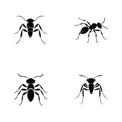 Ant black silhouette of simple minimal vector