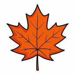 autumn maple leaf vector illustration