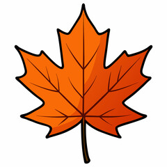 autumn maple leaf vector illustration