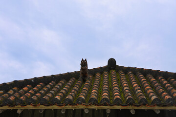 沖縄のシーサーが居る屋根