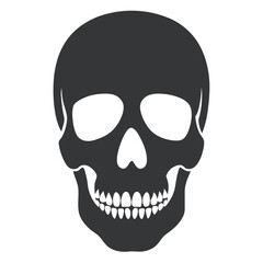 human skull vector illustration