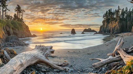 A driftwood log washed up on a quiet beach, with the sun setting over the horizon, providing the perfect frame for a summer memory to be added