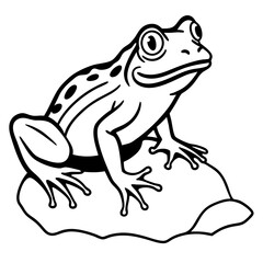 Naklejka premium frog on white background