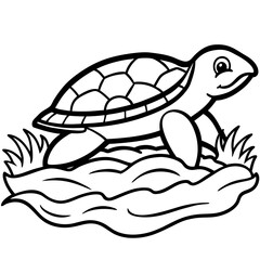 vector illustration of a turtle