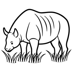vector illustration of a rhino