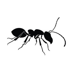 Ant vector icon in flat style black color silhouette