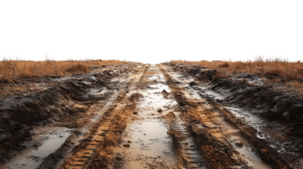 Muddy rural road with deep tire tracks and dry grass under overcast sky