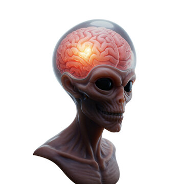 Alien Head with Visible Brain, Highlighted Activity