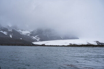 Photographing Salisbury Plain, South Georgia