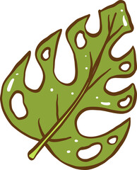 Cute Monstera Leaf Hand Drawn Illustration