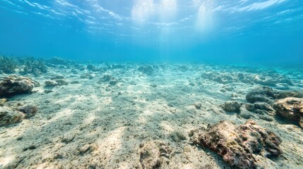 Obraz premium Sunlit underwater scene sandy seabed ocean floor calm aquatic nature