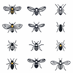 Vector illustration of bee with detailed wings and body outline, showcasing intricate patterns and minimalist design. bee is depicted in black and yellow, emphasizing its natural features