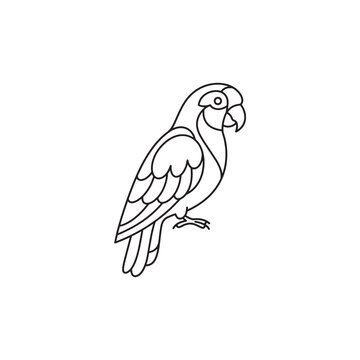 a Amazon Parrot bird with playful mono line