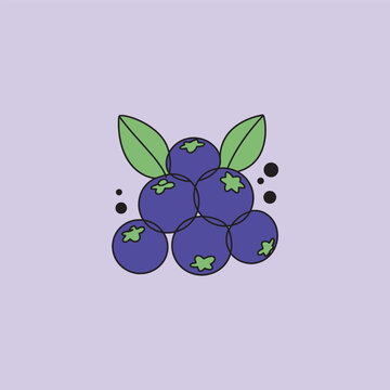 blueberries with green leaves on purple clip art preview