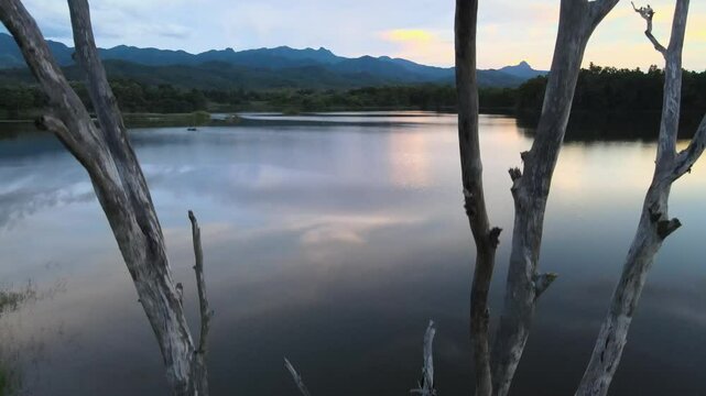 reservoir, dead tree, dry tree, reflection, calm water, peaceful, mountain, sky, clouds, blue sky, evening, sunset, landscape, nature, foreground, lake, water, stillness, tree branch, quiet, silence, 