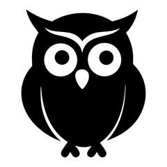 owl on white background