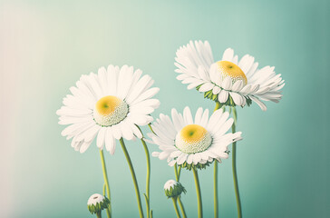 Beautiful camomiles isolated on pastel colors back. Generative AI	
