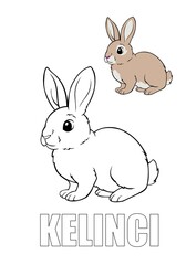 vector illustration of a rabbit
