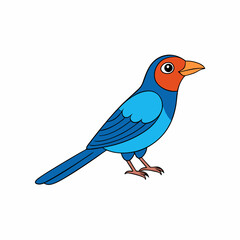 Obraz premium cartoon paradise tanager vector on white background
