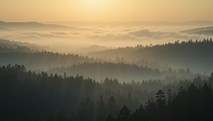 Fototapeta premium Majestic sunrise over misty forested hills nature landscape photography serene environment tranquil viewpoint captivating concept for nature lovers