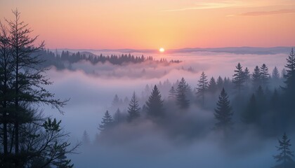 Fototapeta premium Breathtaking sunrise over misty forest landscape tranquil nature scene serene outdoor environment aerial viewpoint captivating concept