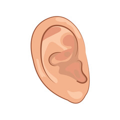  ear flat design vector 