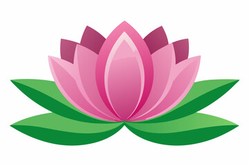 lotus of the valley flower illustration on white background