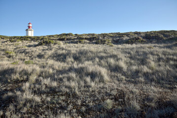 White red lighthouse on the grassy hill. Europe old lighthouse, Portugal coastline