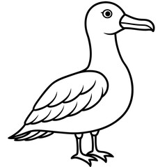 duck on white