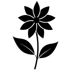 black and white flower