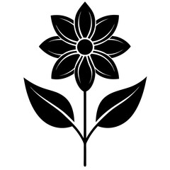 black and white flower