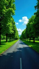 Empty asphalt road cuts through lush green park, vibrant blue sky above , background, stock, sky