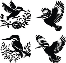 Four Black and White Kingfisher Bird Illustrations with Nest and Branches