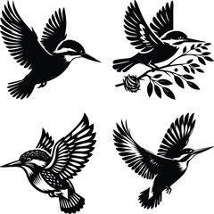 Four Stylized Black and White Kingfisher Bird Illustrations