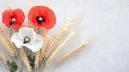 Obraz premium Delicate red poppies and white flowers with wheat stalks soft floral arrangement nature photography