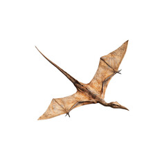 Realistic Pterosaur Flying Against a Clear Blue Sky Background