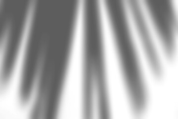 Organic Shadow Overlay