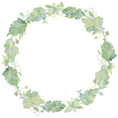 Green leaves frame with buds. Watercolor clipart illustration of round natural frame on white background. For invitations, postcards, business card. Decorating clothes, dishes, other printed materials