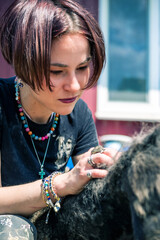 Dog in the shelter. Animal shelter volunteer takes care of dogs.