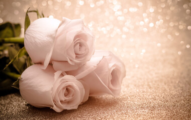 Pink rose on a shiny gold background
