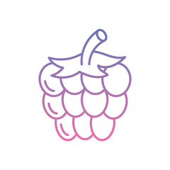 Raspberry Icon vector stock illustration