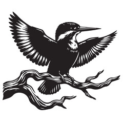 Black and White Kingfisher Bird Illustration on Branch