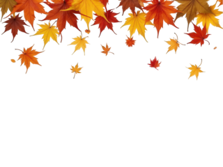 Autumn leaves falling above isolated over png transparent background