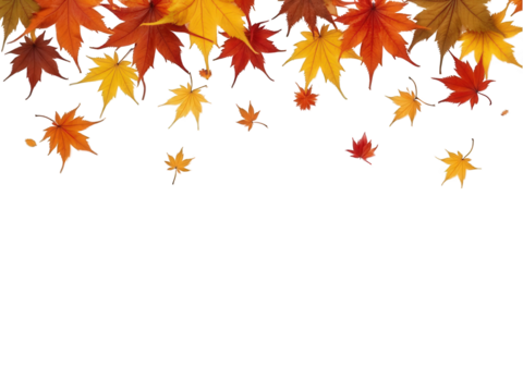 Autumn leaves falling above isolated over png transparent background