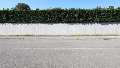 Long and high concrete fence with hedge on top. Cement sidewalk and street in front, sky on behind....