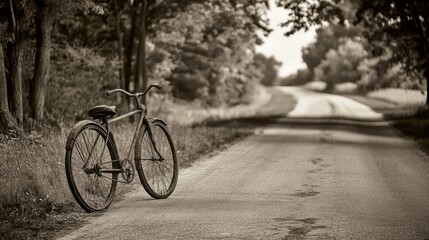 Vintage bicycle rests on a country road.