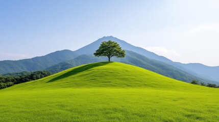 Fototapeta premium Lush green hilltop, solitary tree, serene mountain vista